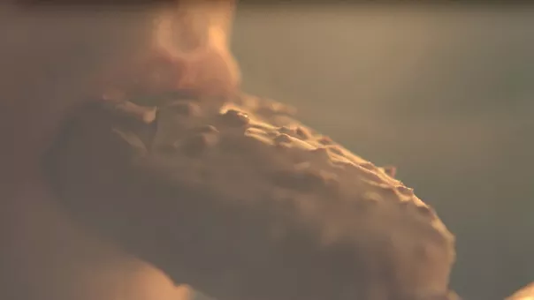 Улови мига, отдай се