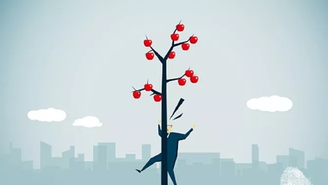 Да работиш за българска компания