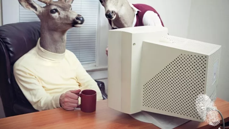 Митът за някои професии