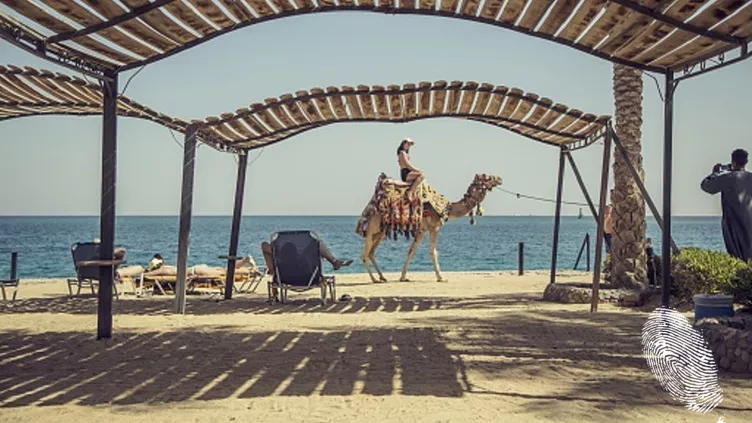 До Египет и назад