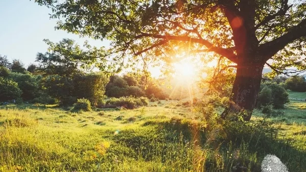 ...в България изгреви колкото щеш