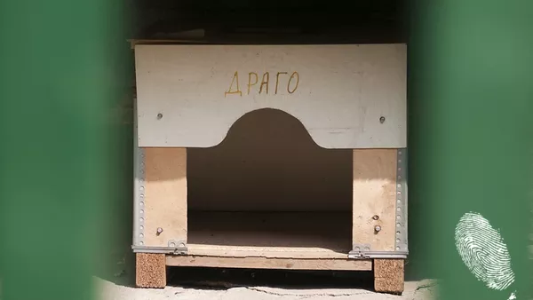 студена сутрин