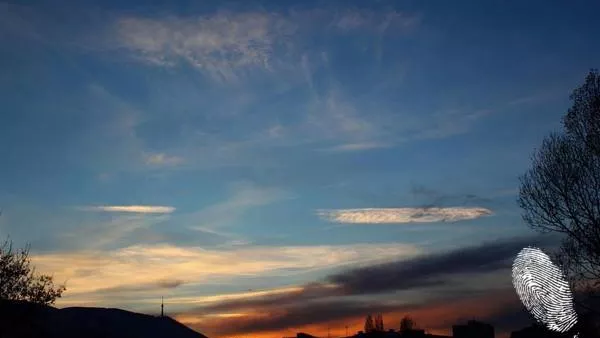 Чакам птиците