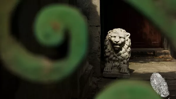 слънчева сутрин