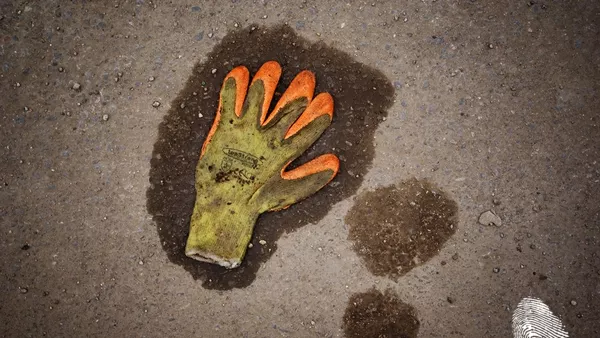 където няма дърво