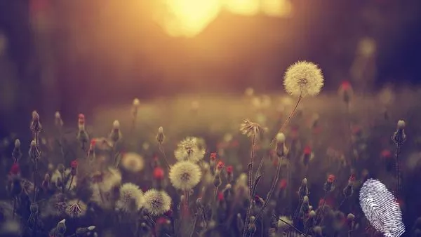 ще се отронят милиарди