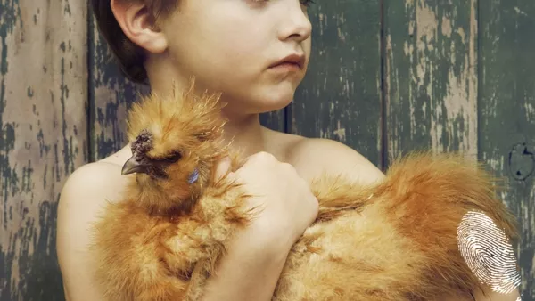 жега жега жега