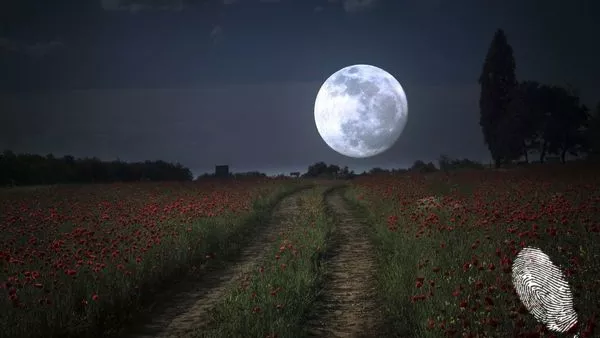 ти имаш всичко