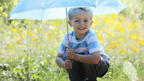 акварели от дъжд