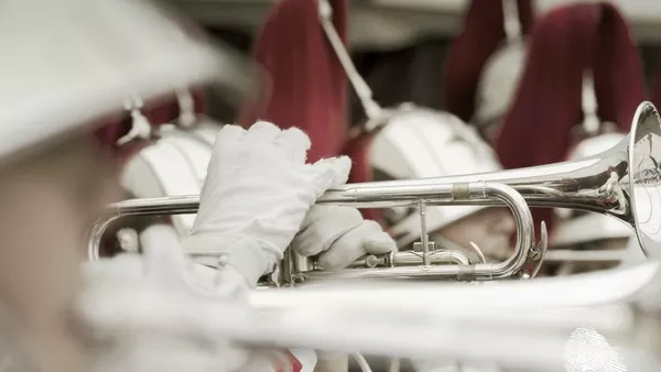 каменни лица