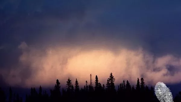 различно ехо