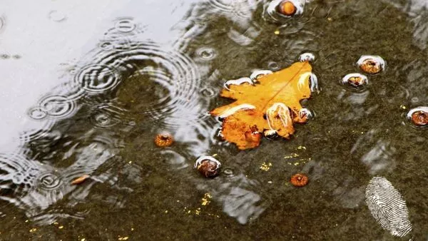 aх, тази буря