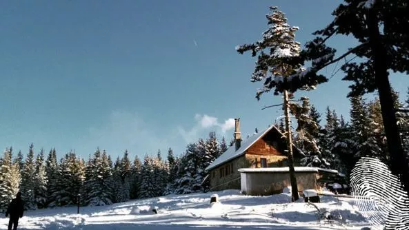 вярна прогноза