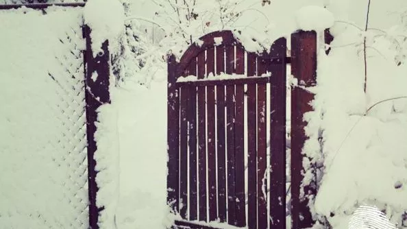 отворена покана