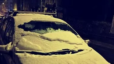 студено сърце