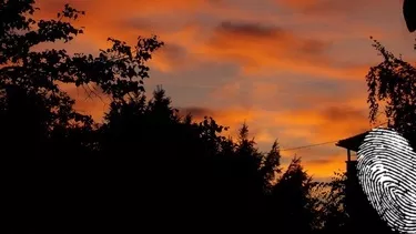 Random Acts of Kindness