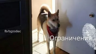 Какви са страховете на 12-те зодии