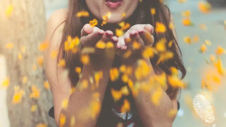 Хорхе Букай: 