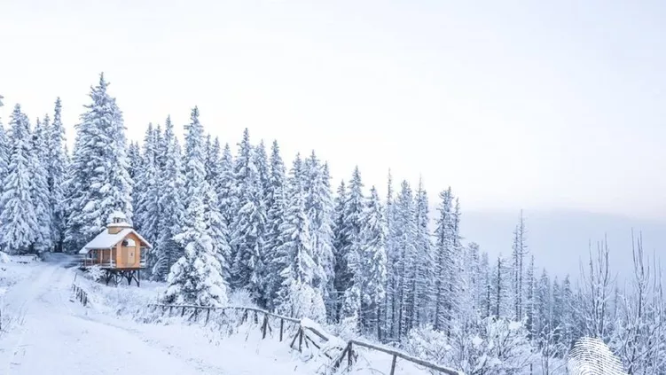 7 дни в 7 снимки от зимна София