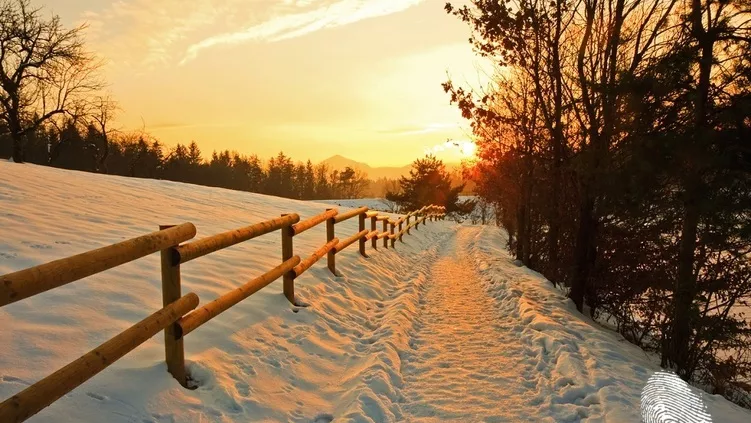 Кой е януари?