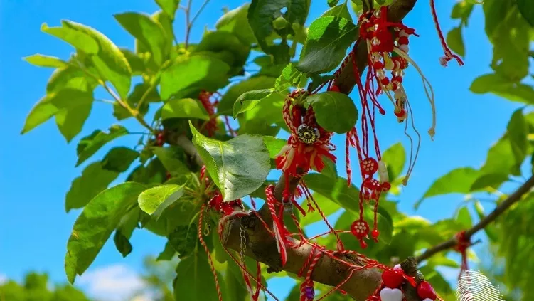Хороскоп за месеца на Баба Марта