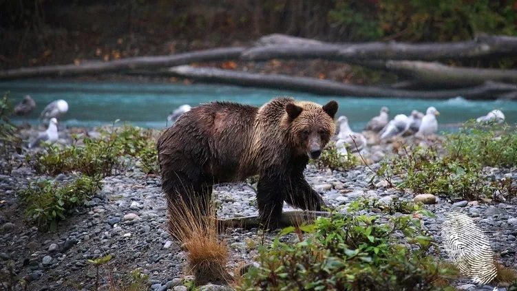 Какво животно си според начина, по който спиш?