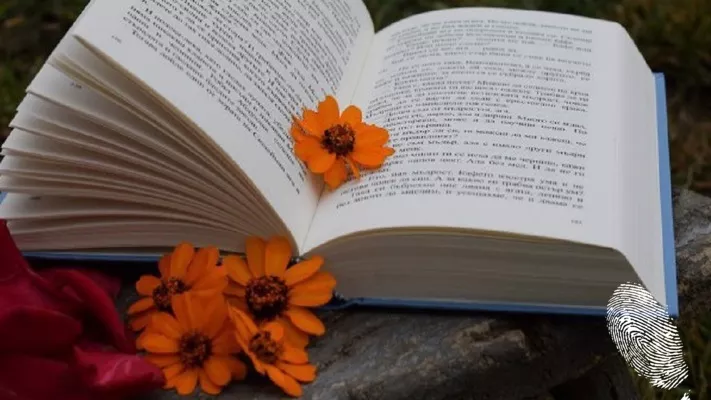 10-те най-велики начала на книги