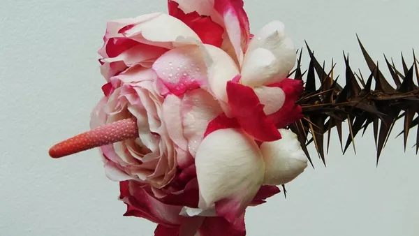 Труд и творчество