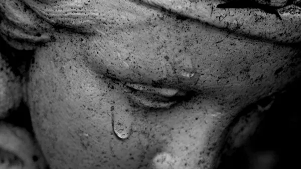 Сълза и смях