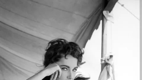 Птиците умират сами