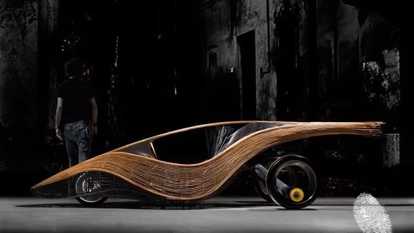 Тънка плетка