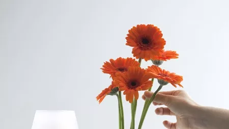 Скачени съдове