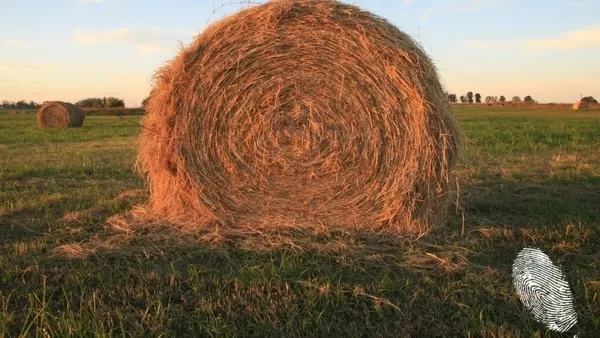 Правилата на играта