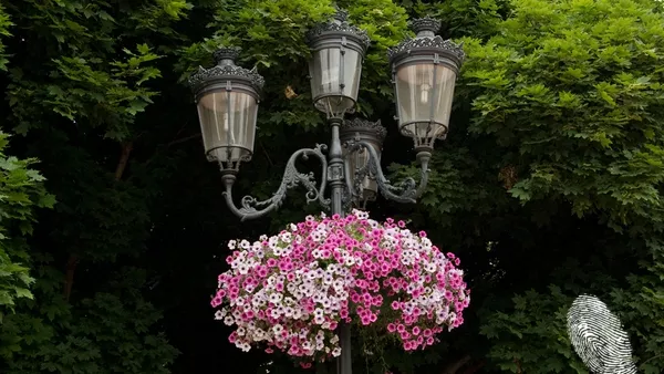 София диша ли, диша