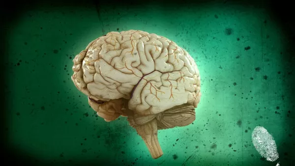 Брейнсторминг