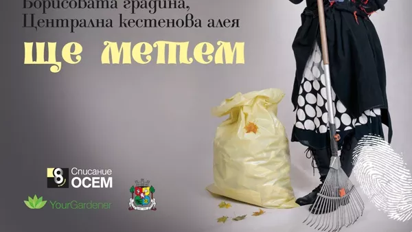 Яхни метлата