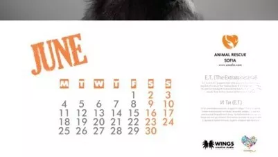 Куче в чекмедже