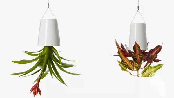 Надолу с главата