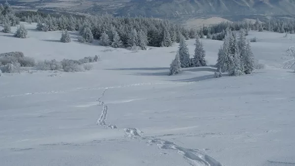 До последен дъх