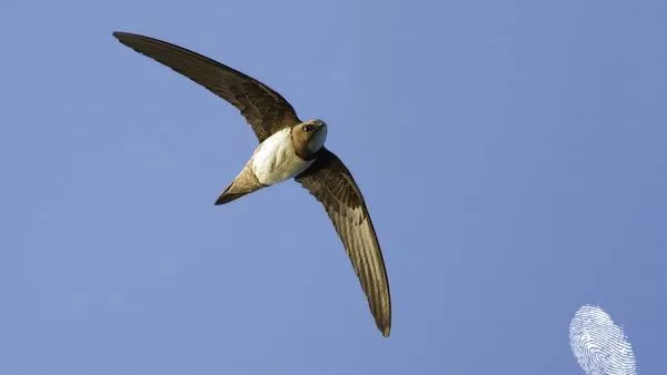 Полет над града