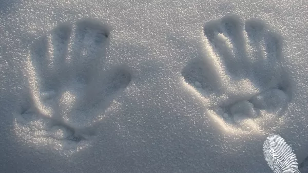 Бързи, снежни, сръчни