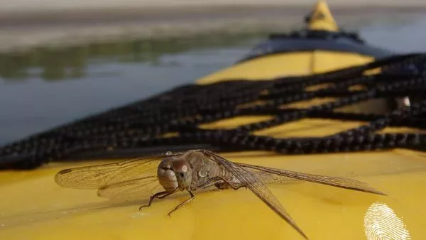 Хайде на лодки