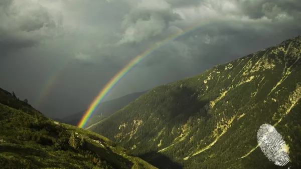 В профил и анфас