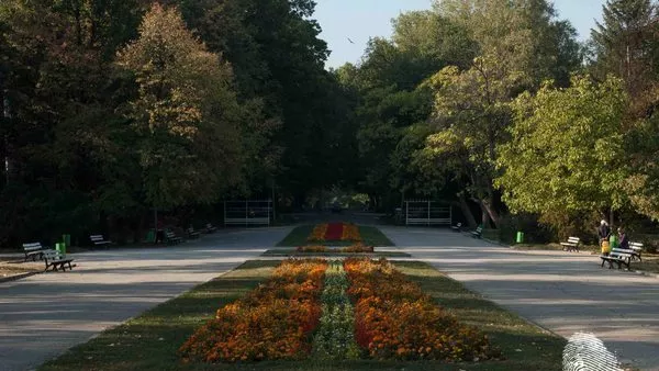 Възможна реалност