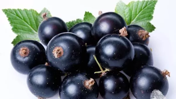 Плодово да е