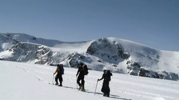 Бялата пъртина