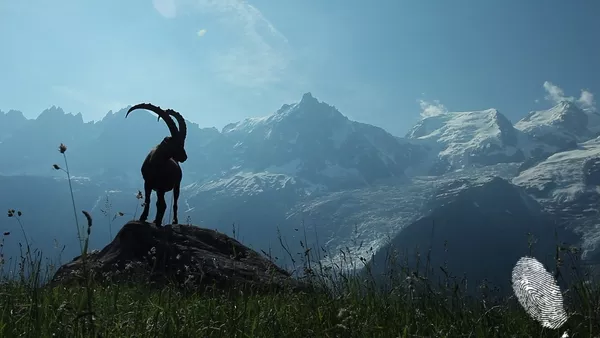 Кинопреглед