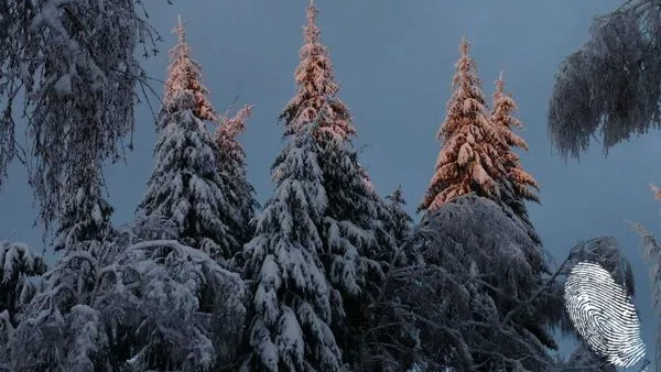 Конкурсна програма