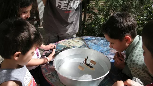 Код: Зелено