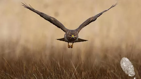 Ей сега ни кацна